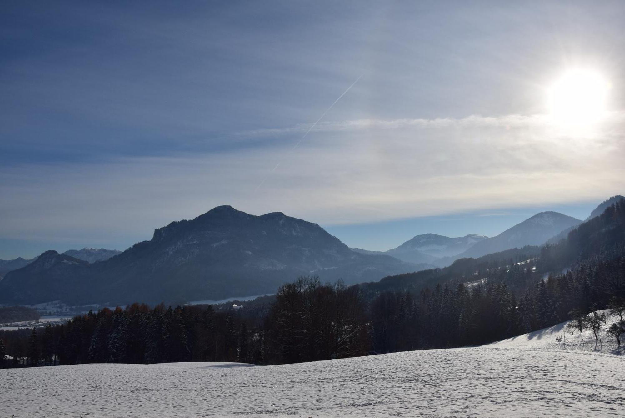 Schlossalm Ferienwohnungen Браненбург Екстериор снимка